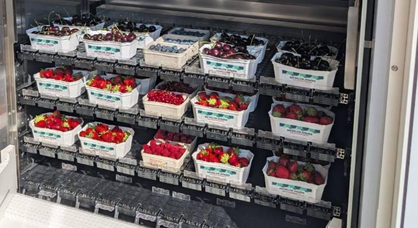 Új értékesítési csatorna nyílik a kistermelők előtt