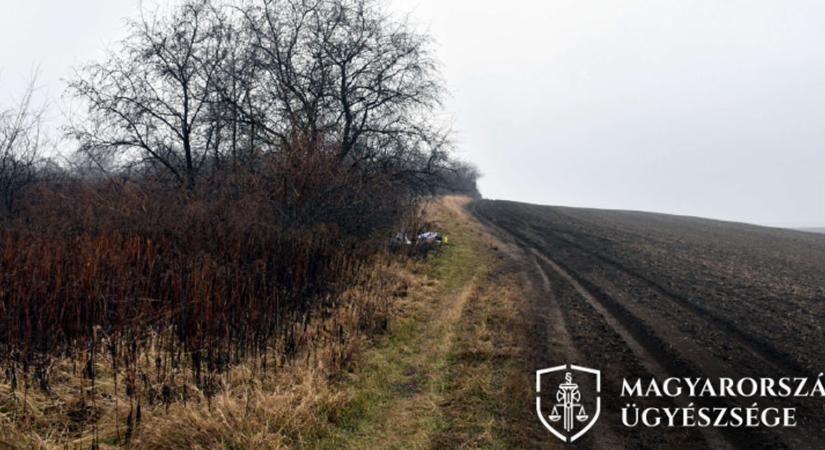23 évet kaphat a sárisápi erőszakoló