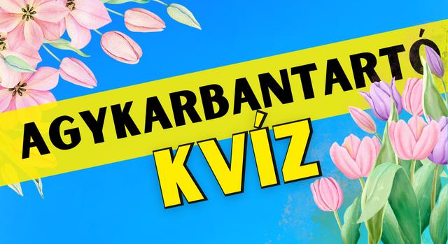 Napi agykarbantartó feladat: Csak a legjobbak látják meg mindet 5 másodperc alatt!