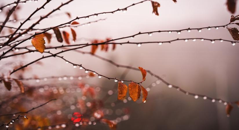 Felhős ég és záporok – ilyen lesz a holnapi időjárás Dunaújvárosban