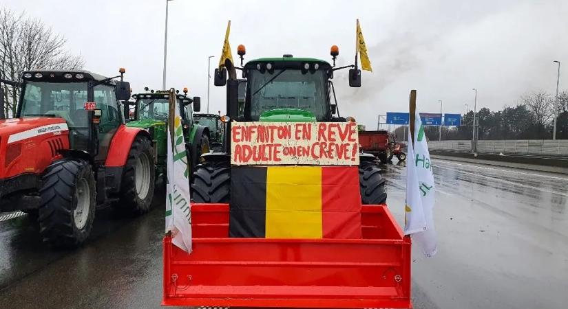 Kettős mérce fenyegeti az európai agráriumot: a Mercosur-megállapodás és az ukrán import egyszerre szorítja a gazdákat