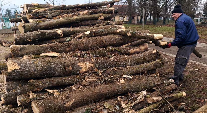 Folyamatosan szállítják a szociális tűzifát a rászoruló családoknak – fotók, videó