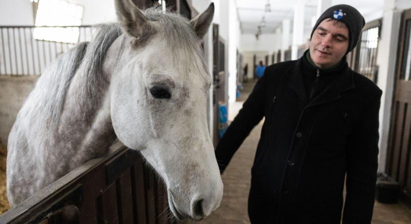 Több, mint kétszáz éves múlt - a Bábolnai Nemzeti Ménesbirtok nyomában jártunk