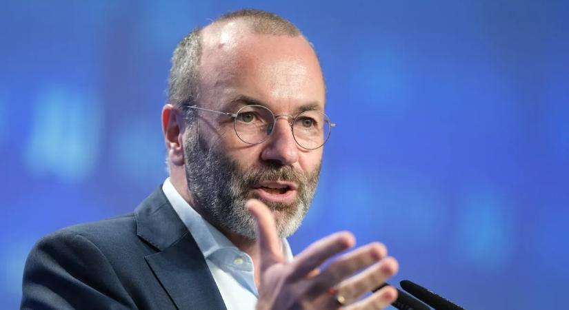 Az olasz politikusok egyetértenek: Manfred Weberre ráférne egy kiadós terápia
