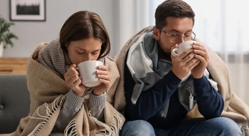 Ez az olcsó étrend-kiegészítő segíthet elkerülni az influenzát