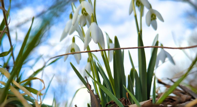 Vége a télnek: 11 fokos felmelegedést hoz a front csütörtökön
