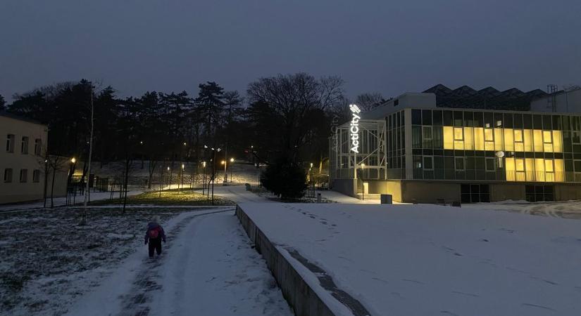 Ösvény a hóban (galéria)