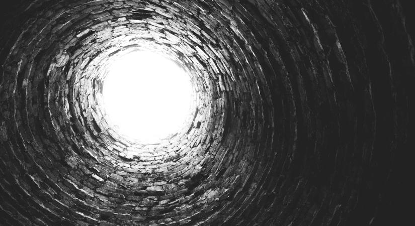 Kútból mentettek ki egy kölyökkutyát a tűzoltók – videó, képek