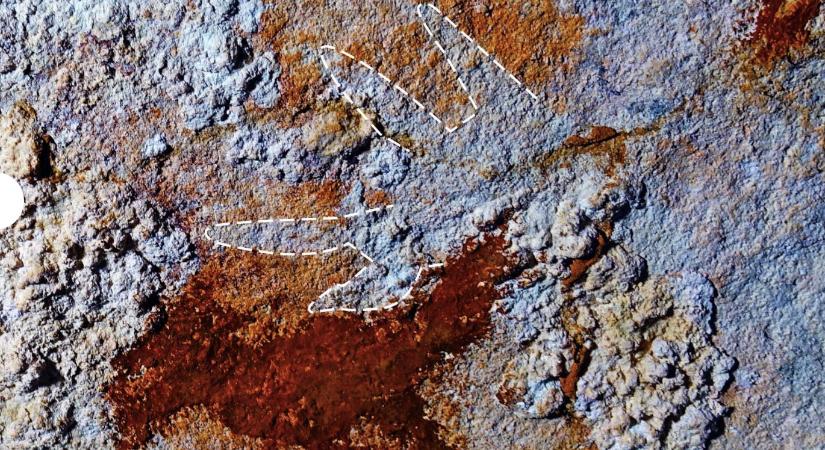 Több mint 67 000 éves kéznyomatot találtak egy indonéz barlangban