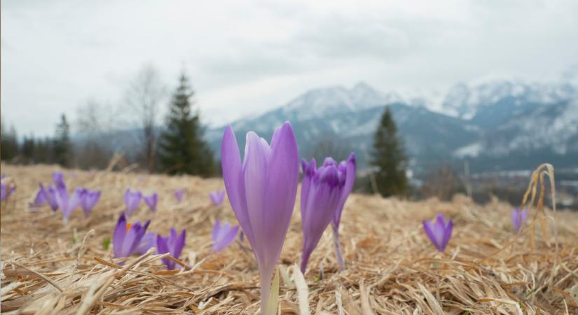 Időjárás 2026. február 5.: Kettős front, tavaszias hőmérséklet és némi csapadék jellemzi a napot