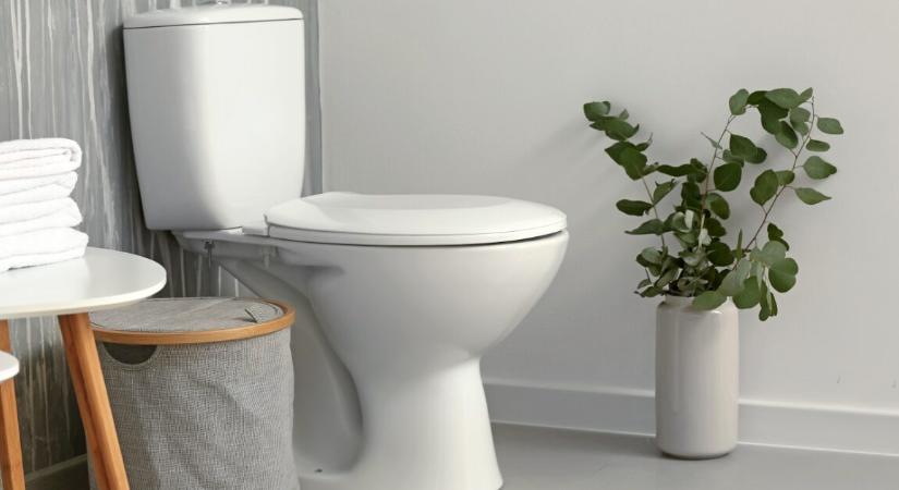 Komoly egészségügyi kockázatot jelenthet, ha túl sokáig ülünk a vécén