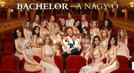 Beintett Stohl Bucinak Nagy Ő Mónika, inkább hazamenekült