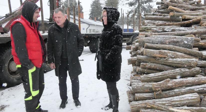 Tűzifát kapnak a rászorulók – mutatjuk az igénylés menetét és feltételeit