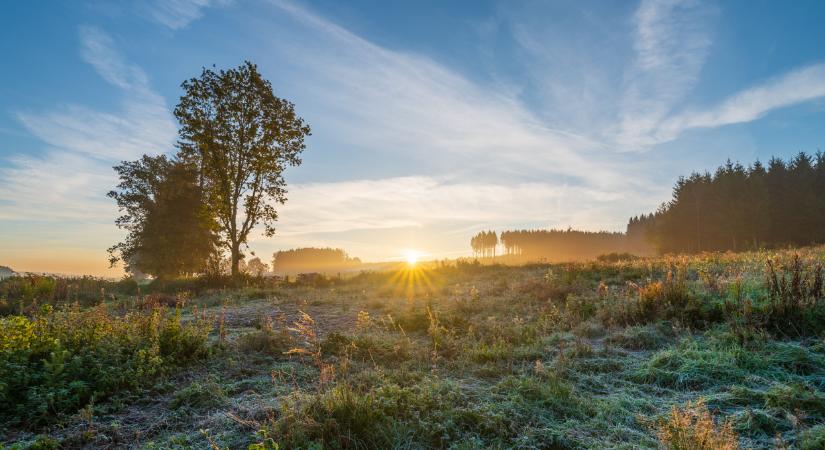 Beüt a tavasz Magyarországon: vége a szürkeségnek, jön a meleg