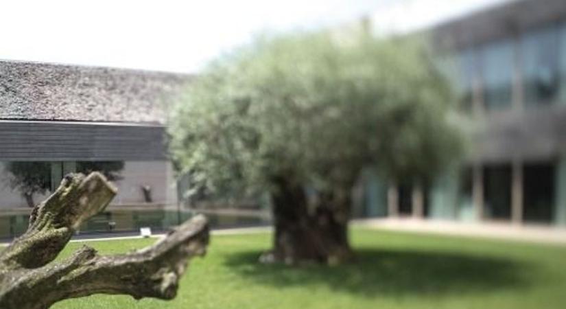 Megelőzés vs. kezelés: Mikor kezdjünk el komolyabban foglalkozni a bőrünkkel?