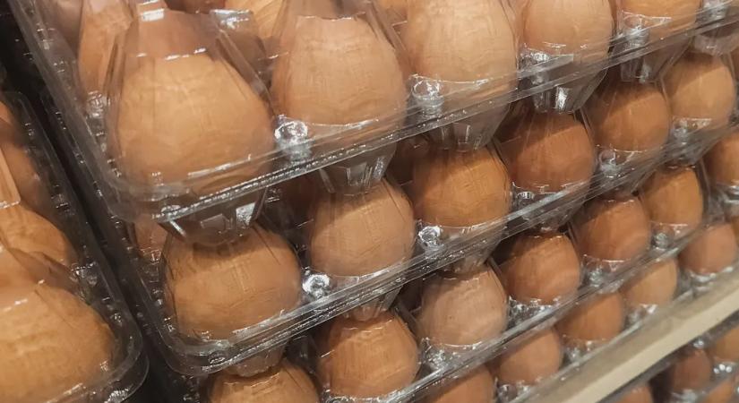 A Semmelweis szerint jelentős pluszterhet ró a vesére, ha túl sok fehérjét eszünk