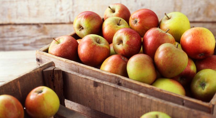 Az Agrárkamara is megszólalt az almabotrány ügyben: itt a reakció