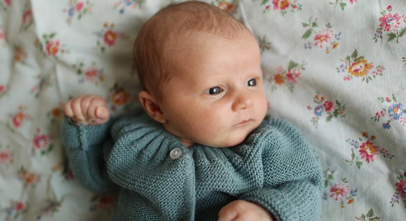 Ez a gyönyörű lánynév szinte a semmiből tör egyre feljebb