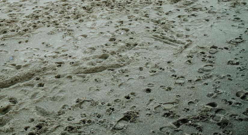 Titkos balatoni kincsek: vaspor és csillogó gyöngyök