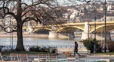 Hétvégi programajánló: Harry Potter-kiállítás, Ügetőfarsang, Kínai Újévi Fesztivál