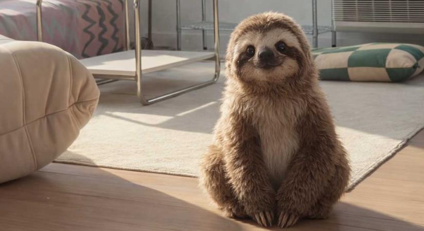 Genie 3 és a világ, ami nem válaszol, hanem gondolkodásra kényszerít