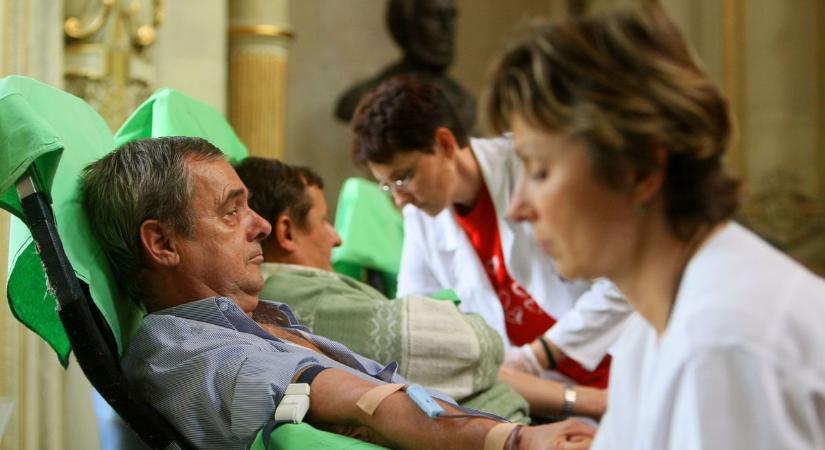 Ezeken a helyeken a forró- és a hidegvérűeket is szívesen látják