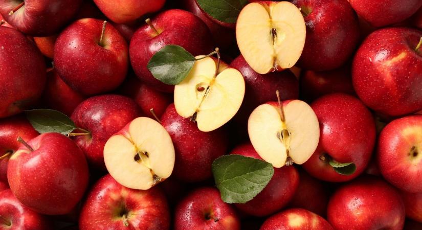 Lejáratókampány a magyar almatermelők ellen – megszólalt a NAK