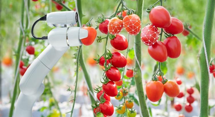 Lépést tart a gazdasága a digitális átalakulással?