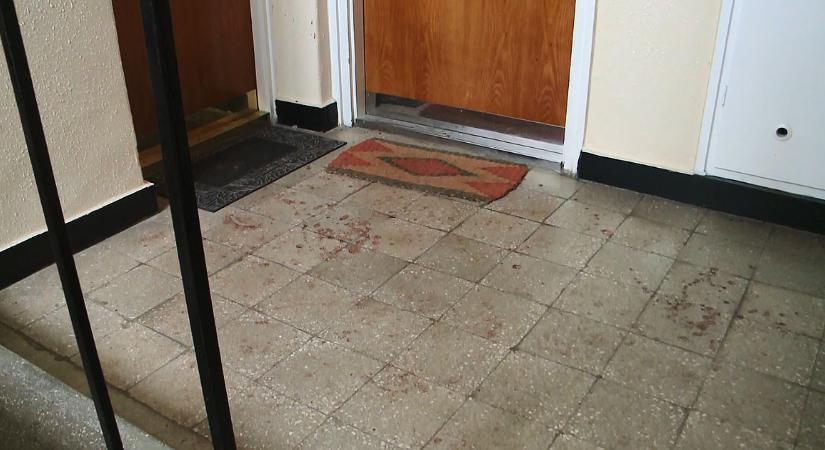 Az élettársa védelme volt az Erzsébet utcai gyilkos letartóztatásának egyik indoka