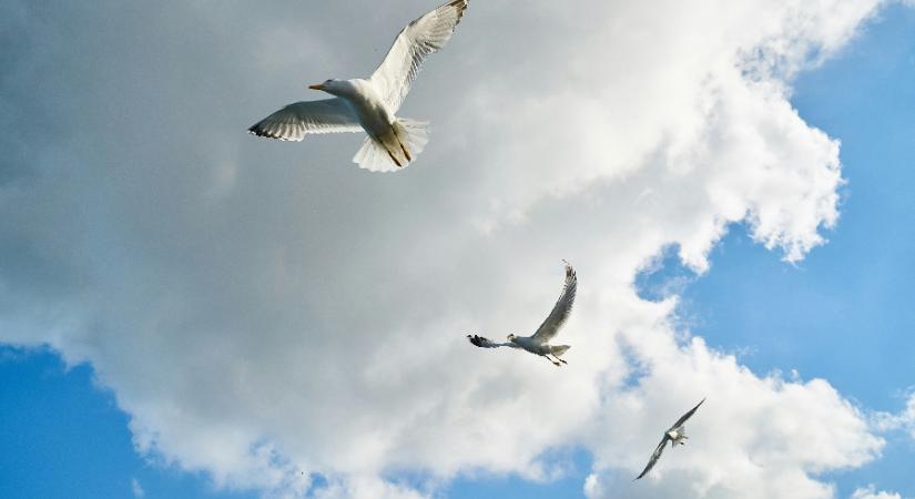 A hét legvégére visszatérnek a hópelyhek