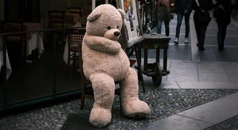 Elloptak egy óriási plüssmedvét Budapesten, a rendőrség arcfelismerője egy szegedi nőre mutatott – tévesen