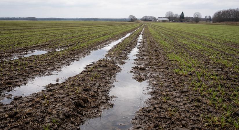 Minden gazda ezt a friss jelentést várta: ilyen állapotban van most a talaj