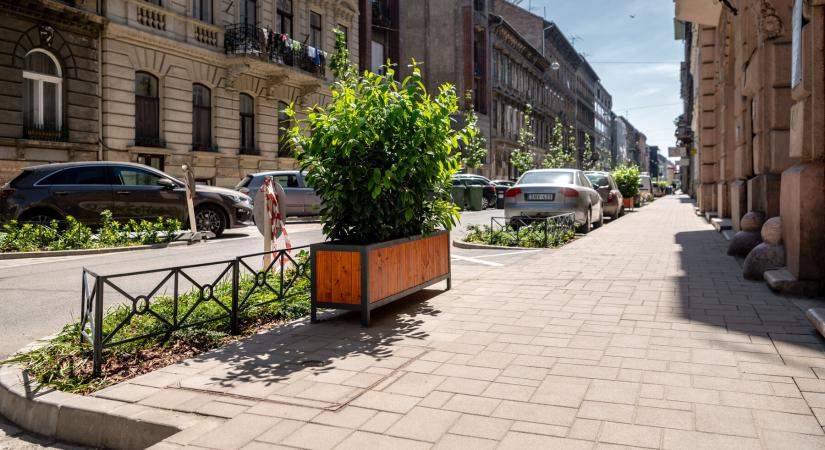 Zöldül a Szív utca a HE-DO kivitelezésében