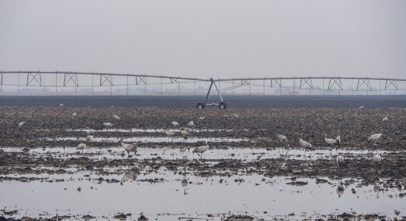 Az állami sikerpropaganda nem billenti helyre a deficites magyar vízmérleget