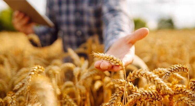 Krízisbiztosítás: nyitva a csatlakozás!