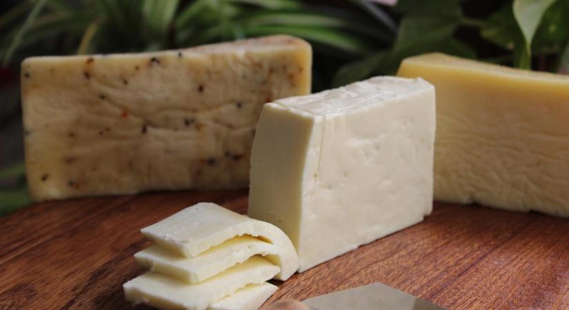 Csalásra készült a sajtok minőségmegőrzési idejével a vajdasági tejgyár