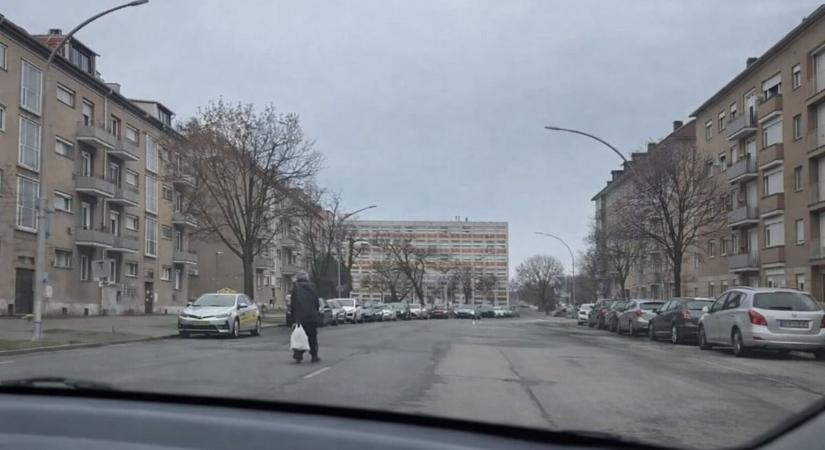 Komoly vita van kialakulóban Pécsen: minek a zebra, ha az úttesten is átszaladhatunk? (VIDEÓ)
