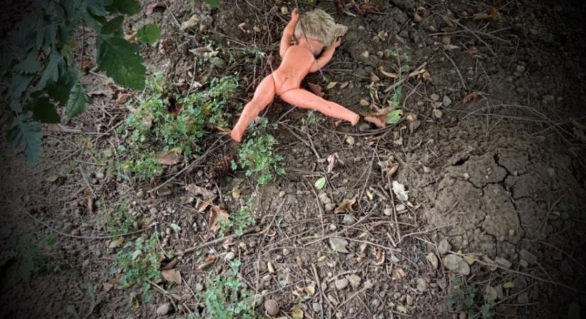 Gyermekpornográfia: ítélet született Kazincbarcikán