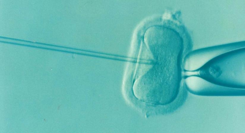 Sokáig titkolták, most kiderült, milyen sikerességi rátával dolgoznak a lombikklinikák