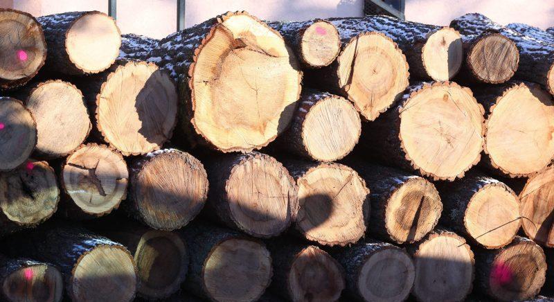 Rendkívüli felhívás: a tűzifaosztás február 9-én, hétfőn folytatódik!