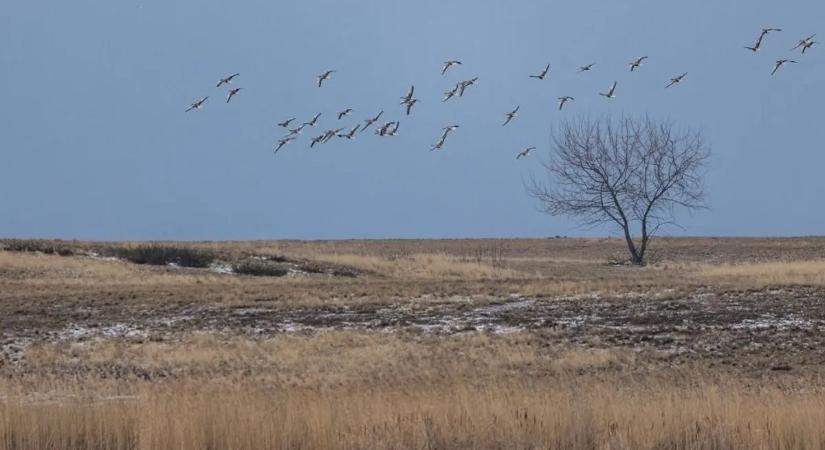 Itt a tavasz? Mutatjuk, hogy milyen lesz a hétvégi időjárás