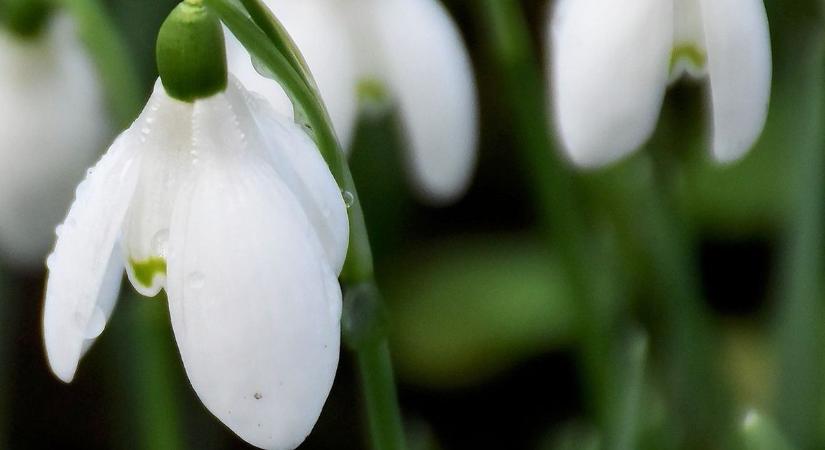 Enyheség: akár 10 fok