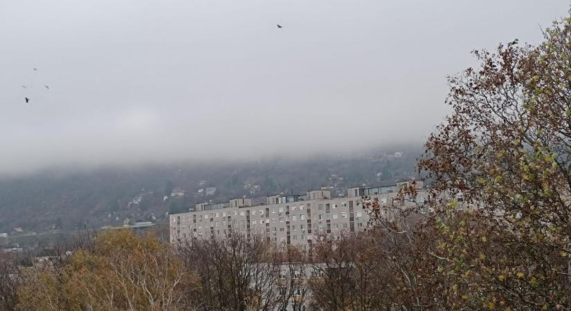 Télből tavaszba? Meglepő fordulatot hoz az időjárás