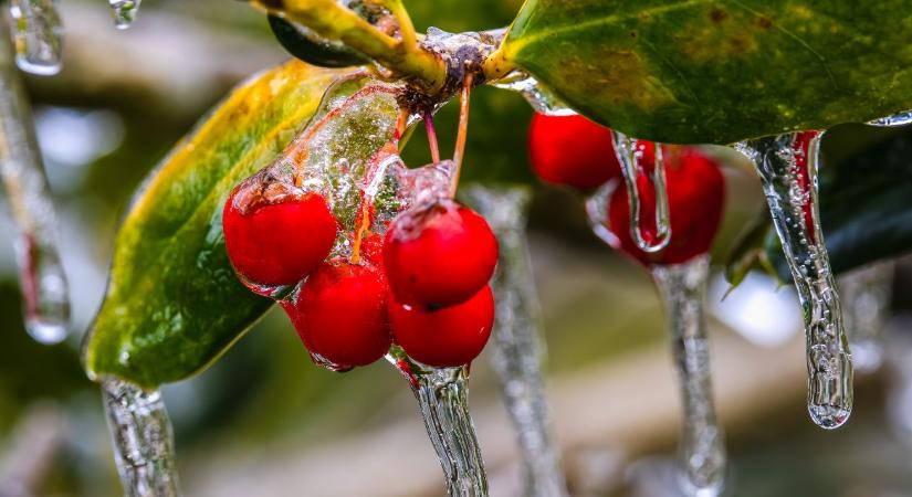 Ónos eső a földeken: mikor véd, mikor okoz kárt?
