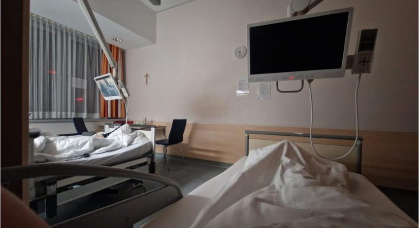 Kétfarkú Kutya Párt: nyílt állkapocstöréssel hazaküldték a veszprémi kórházból passzivistánkat, másnap életmentő műtétet hajtottak végre rajta Ausztriában