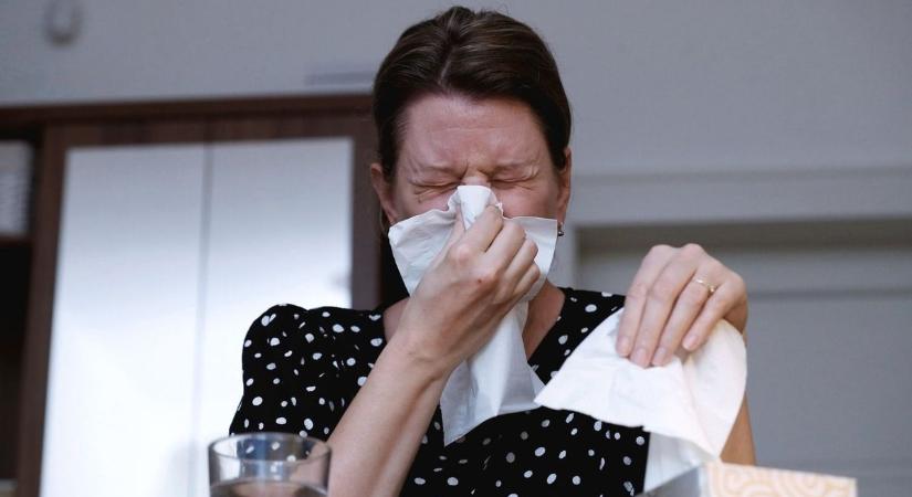 Nem kertel az egri ügyvéd: ha így viselkedsz táppénz alatt, akár ki is rúghatnak