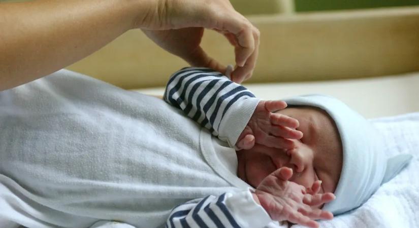 Nyilvános, hogy milyen sikerességi rátával működnek az államosított lombikklinikák