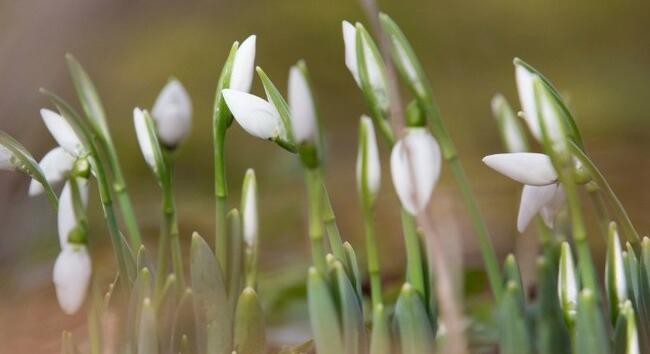 Megérkezett a pénteki időjárás-előrejelzés - Mutatjuk, mi várható