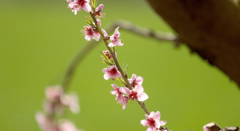 Időjárás: mintha március lenne