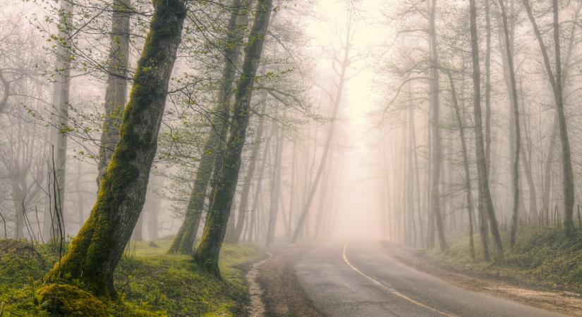 Időjárás 2026. február 6.: Enyhe, de ködös és csapadékos időre számíthatunk